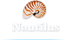 Nautilus Accommodation Port Douglas